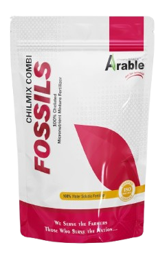 fossils cheletedmix combi 